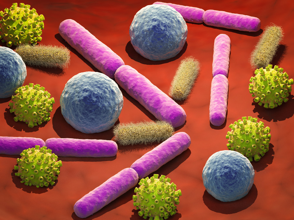 Mycoplasma hominis